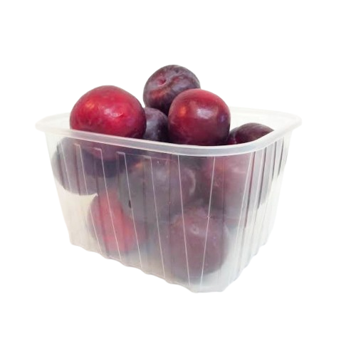 بخارى محلي صغير كيلو