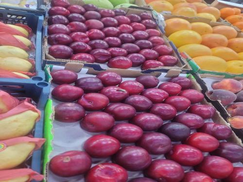 بخارى افريقي 2.5 كيلو
