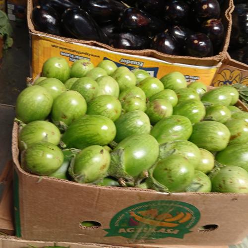 باذنجان اخضر 15 كيلو