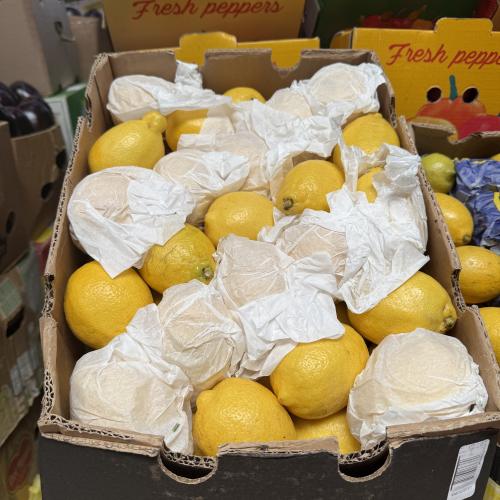 ليمون افريقي 14 كيلو