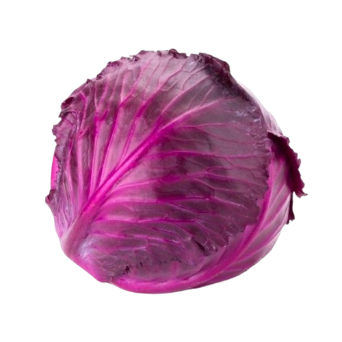 ملفوف احمر حبة