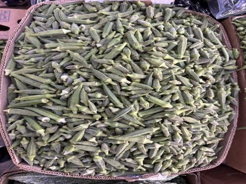 بامية حجم وسط كرتون 20 كيلو