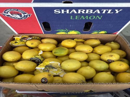 ليمون مصري شربتلي 14 كيلو
