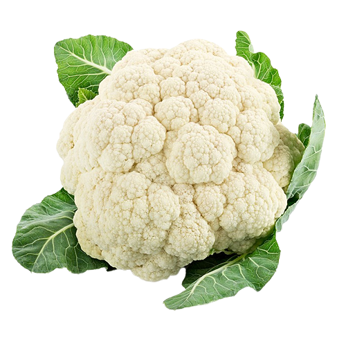 زهرة محلي حبة واحد