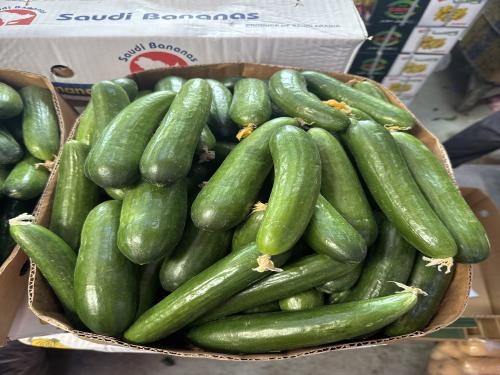 خيار كرتون نجران 8 كيلو