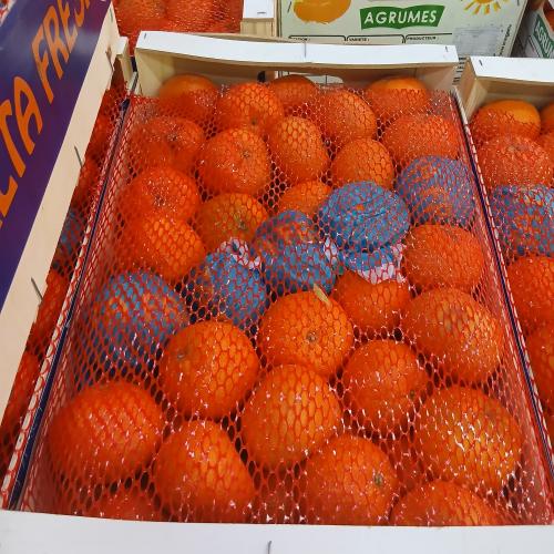 يوسفي مغربي 10 كيلو