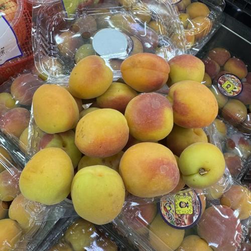 مشمش علبة اردني 1 كيلو