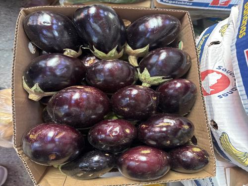 باذنجان ايدام كرتون الطائف 4 كيلو