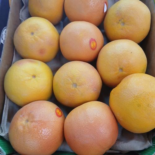 جريب فروت 1 كيلو