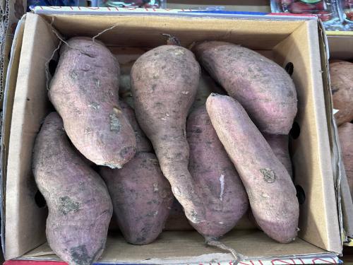 جزر يماني ابيض ( بطاطا حلوة ) كرتون