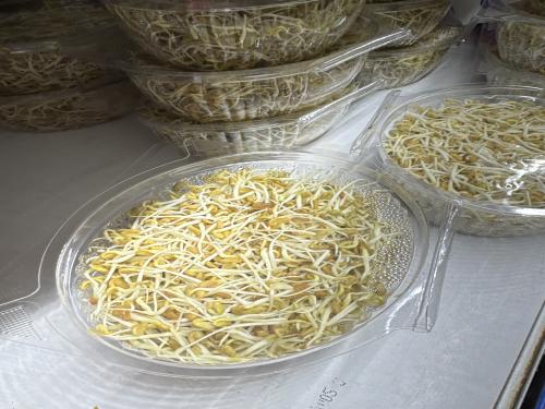 براعم الحلبة علبة