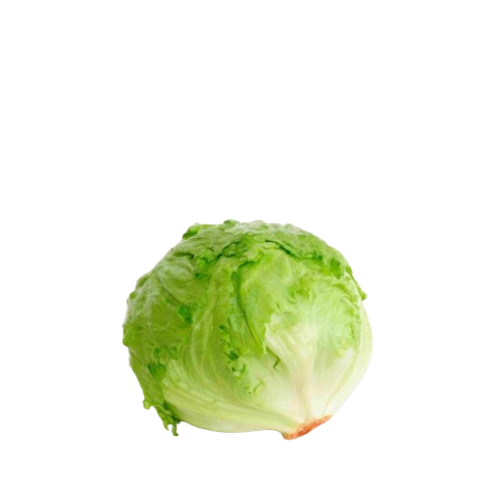 خس مدور 1 حبة