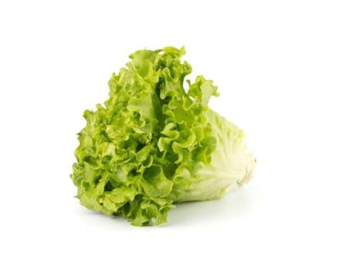 خس فرنسي لولو بيوندا 350 جرام