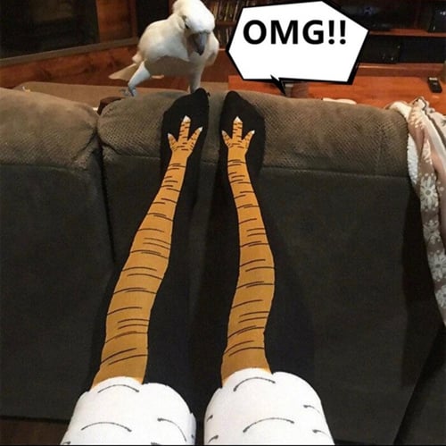 شراب تشكن ليق