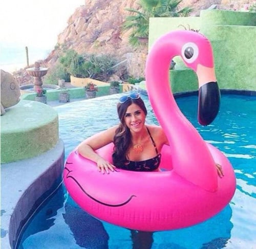 بوكس حفلات فلامنجو