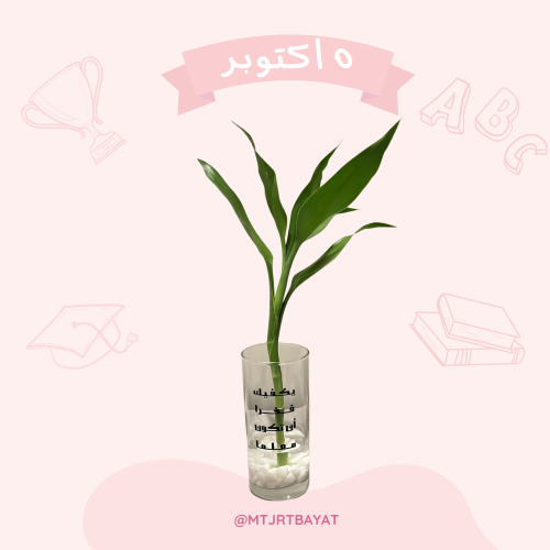 زرعات المعلم ( كبير)
