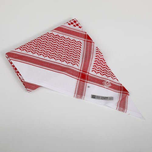 دسار الشيوخ 533