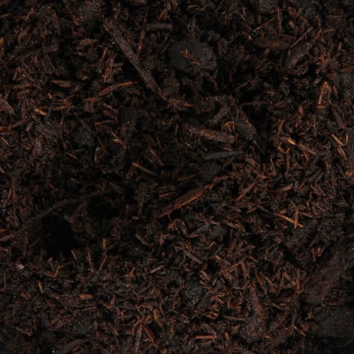 مبثوث العنبر الفاخر