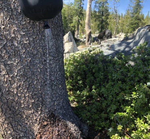 مروش الرحال