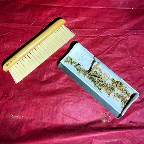 مكنسة ومجرفة صغيرتان