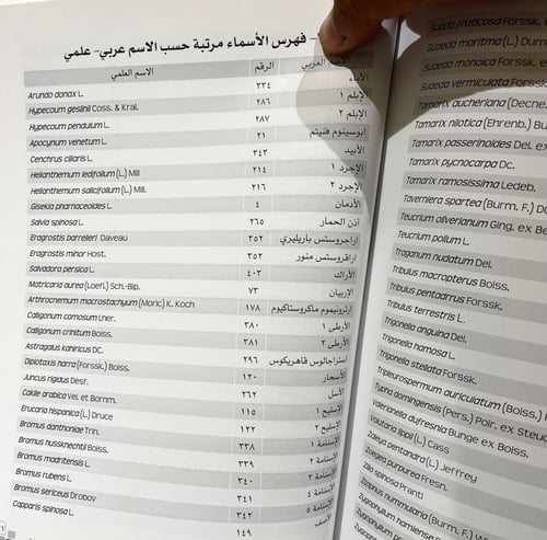 النبات البري في المنطقة الشرقية - جزآن
