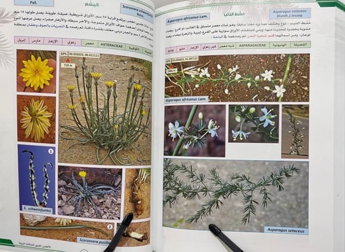الأطلس المصور للنباتات البرية - جزآن