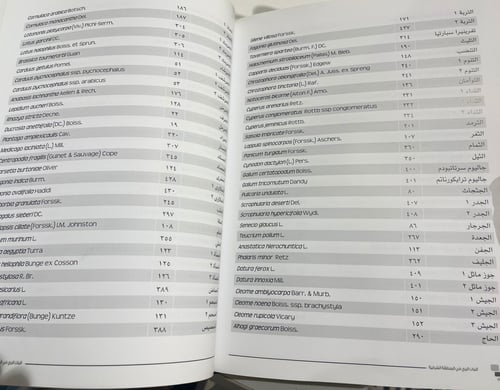 النبات البري في المنطقة الشرقية - جزآن