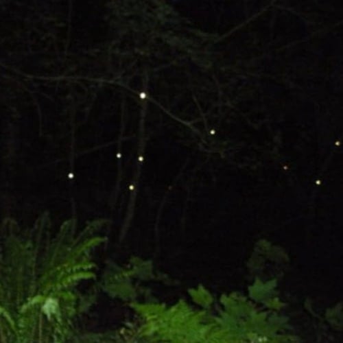 علامات المسارات ( دبابيس عاكسة أحادية الأبعاد )