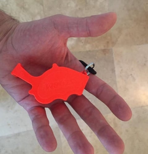 صافرة العاصفة