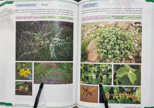 الأطلس المصور للنباتات البرية - جزآن