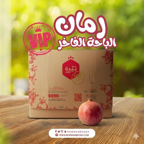 خاص (VIP)