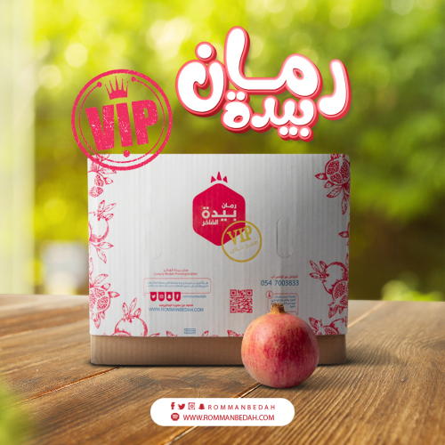 خاص (VIP) ملكي