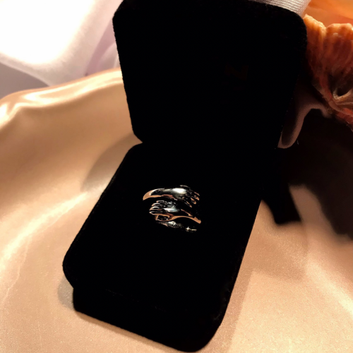 خاتم أحتضان فضي