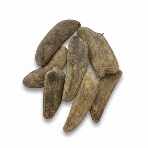Moroccan oud, natural, improved for gatherings | O...