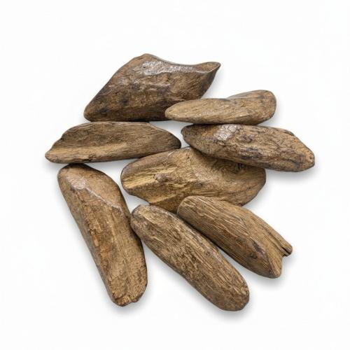 Moroccan royal oud | O-1010