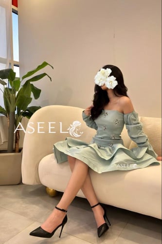 فستان تيفاني شانتون مفصص