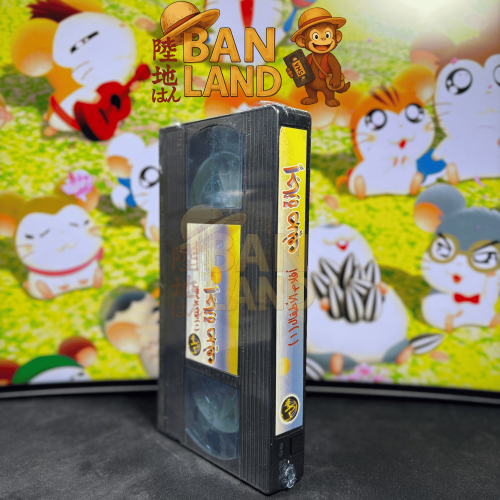 شريط فيديو VHS - إجازة الصيف