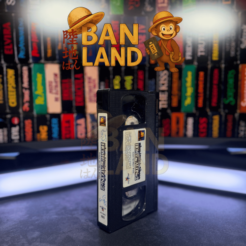 شريط فيديو VHS فيلم - Home Alone 2: Lost in New Yo...