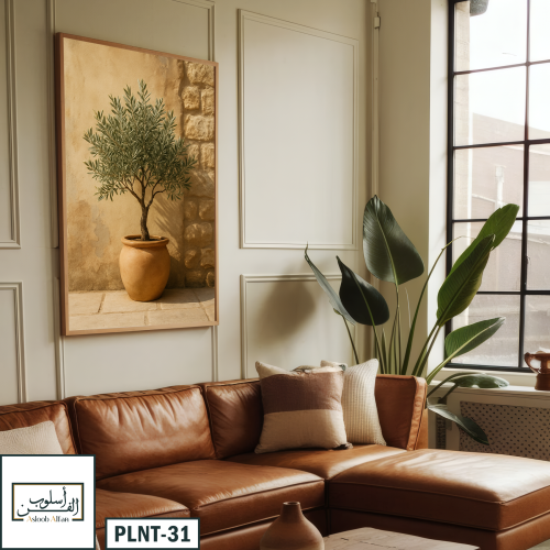 PLNT31 زيتونة في ضوء الصباح