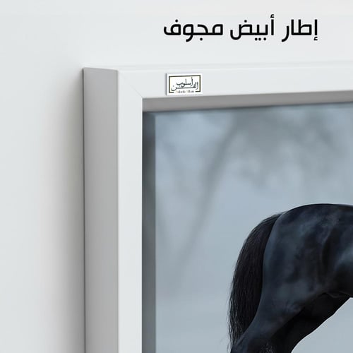 HR251 لوحة فنية معاصرة تصور حصاناً أسوداً يقف وسط...