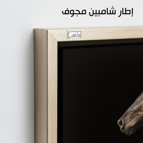 HR59 لوحة فنية معاصرة بالأبيض والأسود تصور رأس حصا...