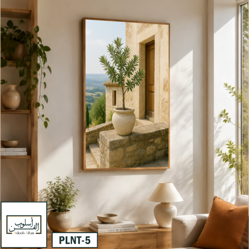PLNT5 شرفة الزيتون