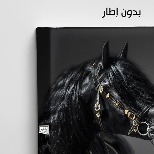 HR110 لوحة فنية بالأبيض والأسود تصور رأس حصان أسود...