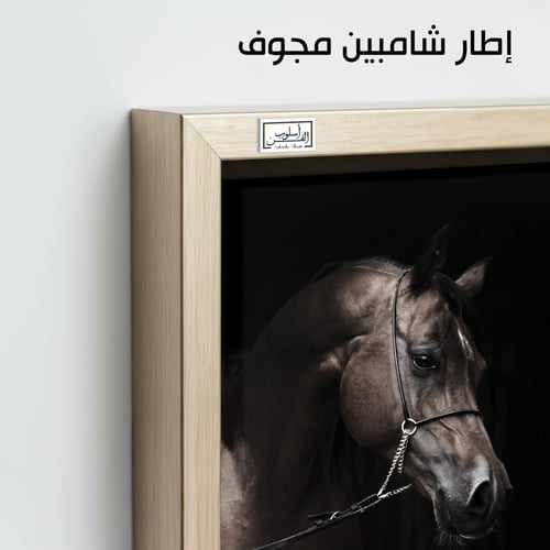 HR98 لوحة فنية معاصرة تصور رأس حصان عربي أصيل بلون...