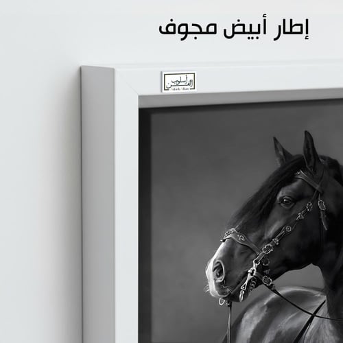 HR263 لوحة فنية أنيقة بالأبيض والأسود تصور حصاناً...