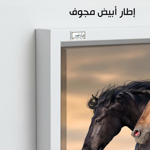 HR61 لوحة فنية معاصرة تصور حصانين أسود وبني اللون...