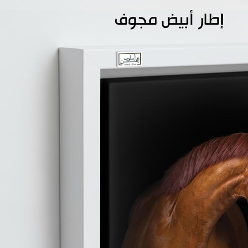 HR105 لوحة فنية معاصرة تصور حصانين، أحدهما بني وال...