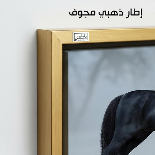 HR251 لوحة فنية معاصرة تصور حصاناً أسوداً يقف وسط...