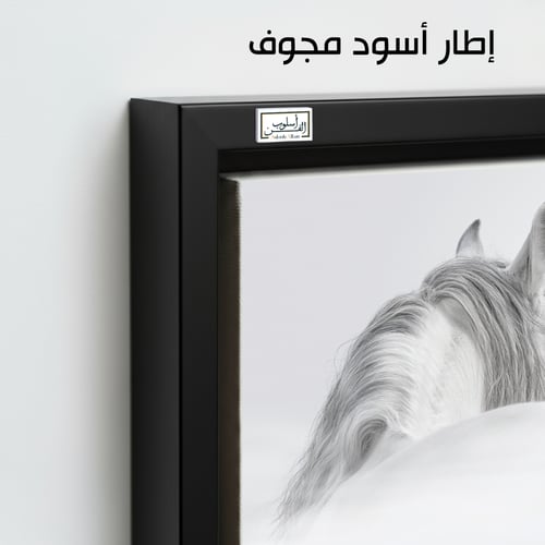 HR73 لوحة فنية معاصرة بالأبيض والأسود تصور رأس حصا...