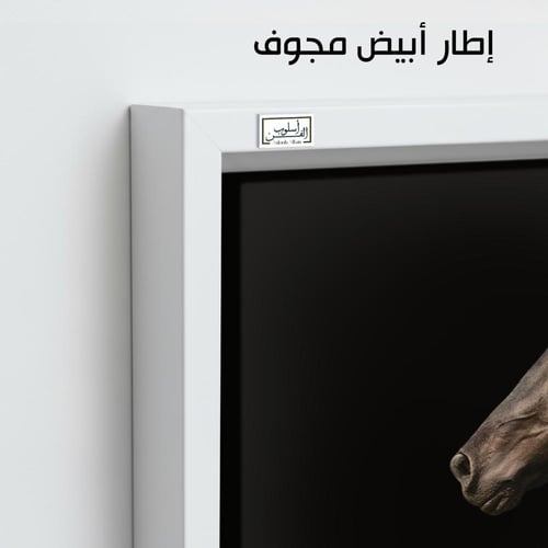 HR59 لوحة فنية معاصرة بالأبيض والأسود تصور رأس حصا...